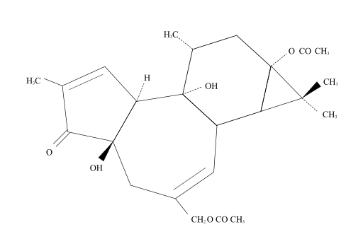 Medium sized image of the Slug Protein Sequence diagram.